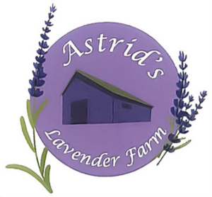 purple logo with lavender for astrid's lavender farm